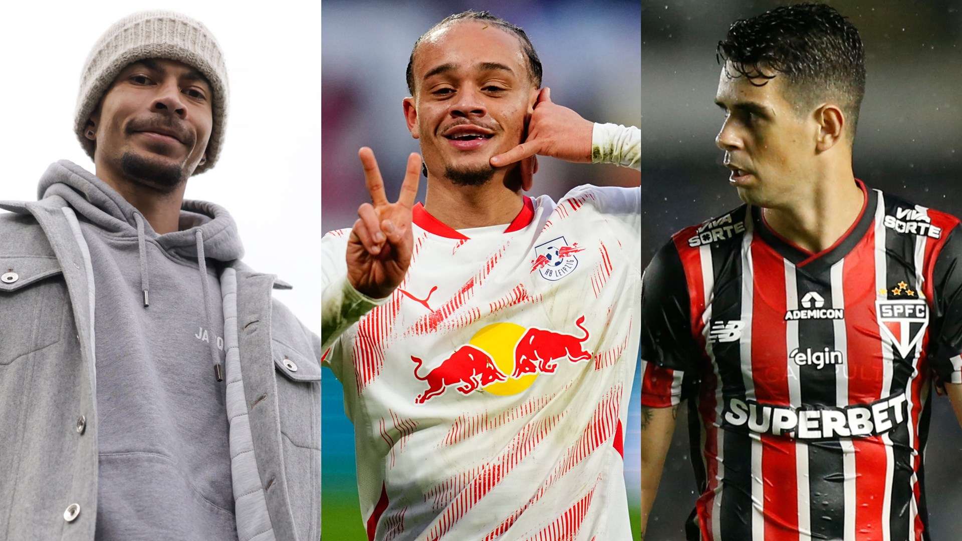 养的过程中 养的过程中